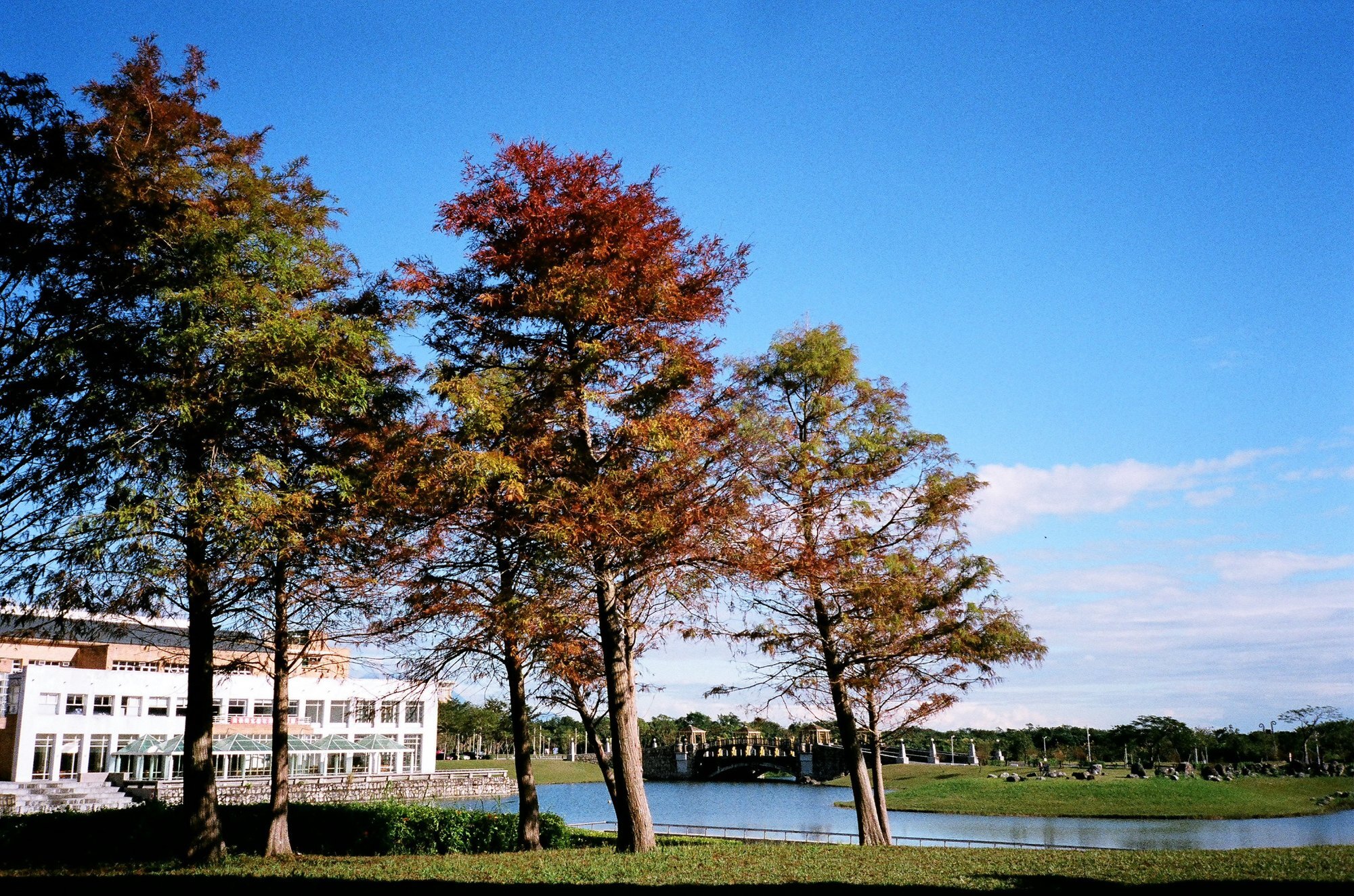 Autumn by the Lake